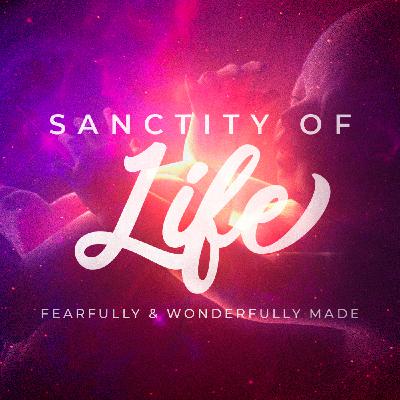 Sanctity of Life - Fearfully & Wonderfully Made