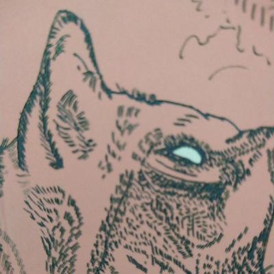 O cão dos Baskerville. Trechos.