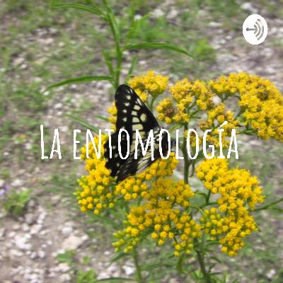 La entomología
