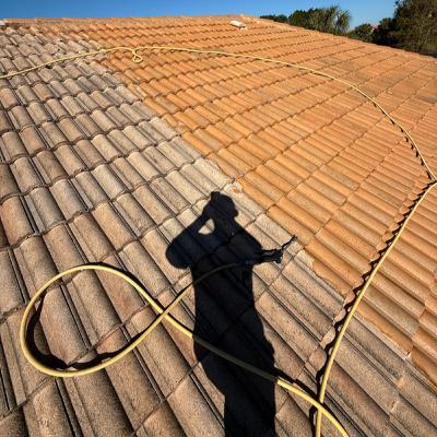 How Soft Wash Roof Cleaning Protects Your Home