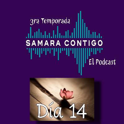 Diario de Resiliencia - Día 14