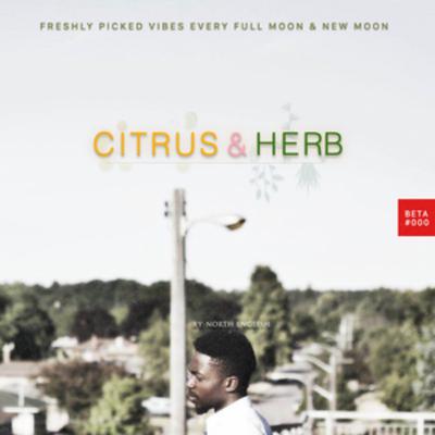 Citrus & Herb BETA 000MiniMix Citrus & Herb BETA 000MiniMix