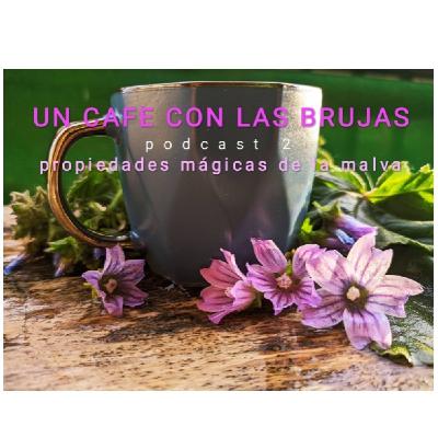 Podcast 2: La malva, sus propiedades mágicas y usos Podcast 2: La malva, sus propiedades mágicas y usos