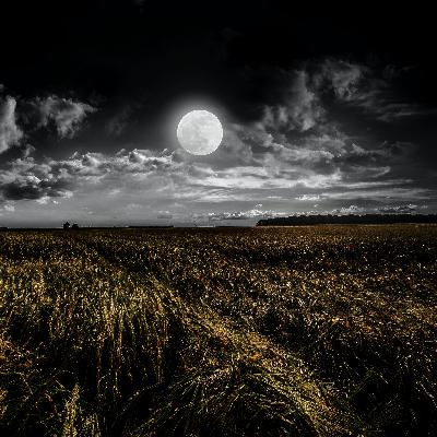 Full Moon in Virgo | March 7, 2023 | African Tarot Podcast