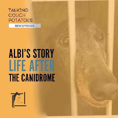 EP33: Albi's Story, Life After the Canidrome