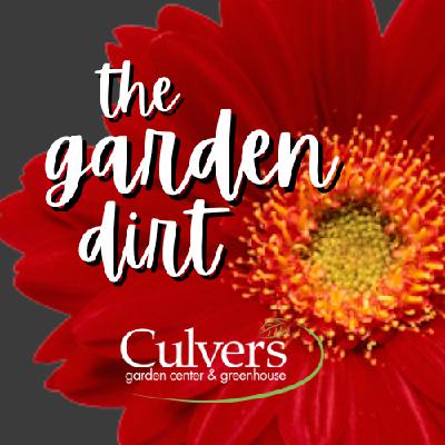 Digging In: Meet Your Hosts!