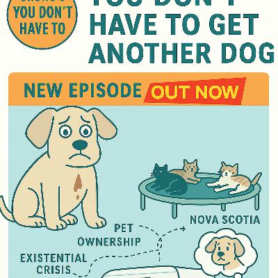 Retirement Is a Lie and So Are Cats