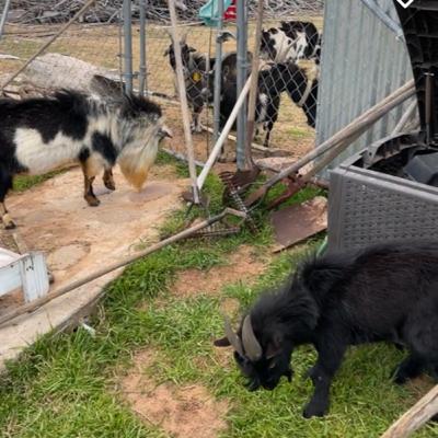 Anger Management Inability To Control Oneβs Anger Anger Management Inability To Control Oneβs Anger