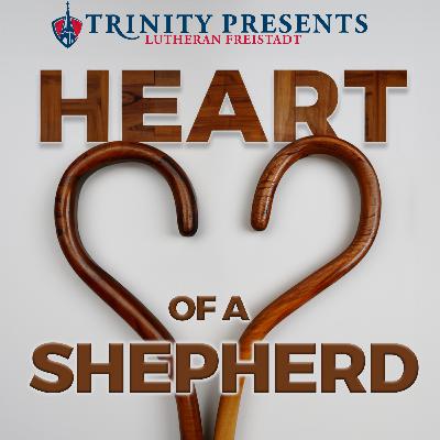 Heart of a Shepherd | 3/10/26