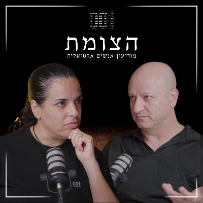 הצומת | איך ישראל יכולה להימנע מהטעות הבאה? ד"ר מיכאל מילשטיין