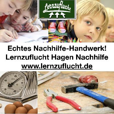 1. Vorstellung des Lernzufluchtskanals