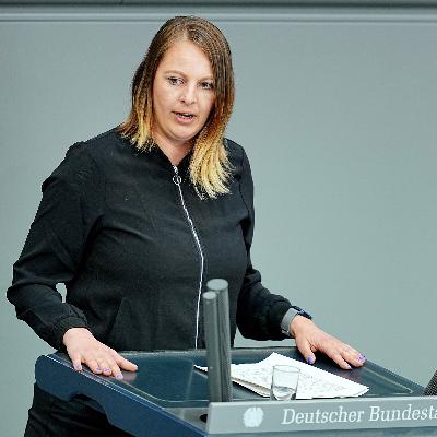Linke: Krim nicht Hauptsorge der Ukraine