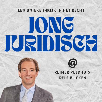 Reimer Veldhuis - Landsadvocaat, Dune, het kantoor Pels Rijcken, AI, de sociale advocatuur en tips voor rechtenstudenten