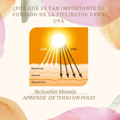¿Por qué es tan importante el cuidado de la piel?/Rayos uvb y uva. (Parte 1) ¿Por qué es tan importante el cuidado de la piel?/Rayos uvb y uva. (Parte 1)