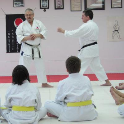 Episode 51: Identifying and Treating Karate Injuries Episode 51: Identifying and Treating Karate Injuries