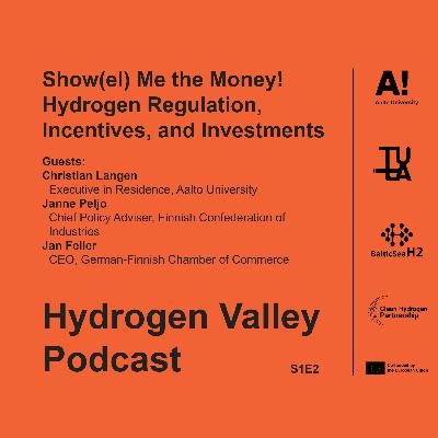 Show(el) Me the Money! Hydrogen Regulation, Incentives, and Investments