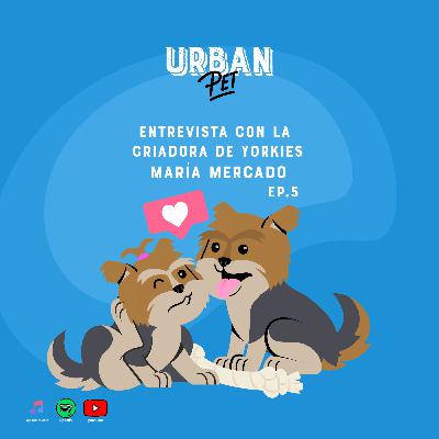 Ep. 5- Entrevista con la criadora de yorkies María Mercado