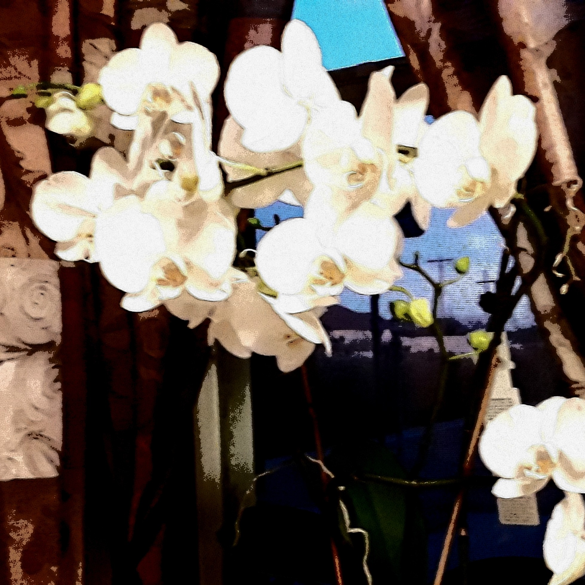 IPV and a personal story