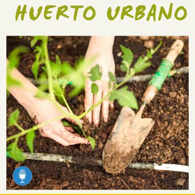 Huerto Urbano, una moda o una necesidad en nuestros tiempos. Huerto Urbano, una moda o una necesidad en nuestros tiempos.