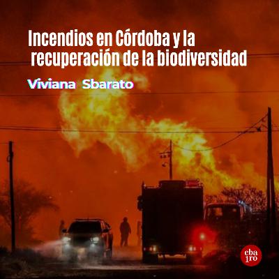Incendios en Córdoba y la recuperación de la biodiversidad