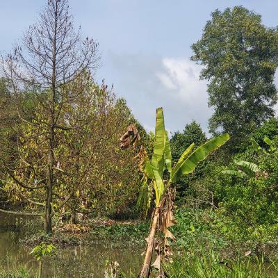 Tiêu điểm - Lãnh đạo Cần Thơ yêu cầu các xã khẩn trương thống kê thiệt hại do thiên tai để hỗ trợ người dân Tiêu điểm - Lãnh đạo Cần Thơ yêu cầu các xã khẩn trương thống kê thiệt hại do thiên tai để hỗ trợ người dân