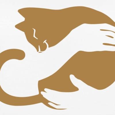 قسمت هفتم رادیوکت قسمت هفتم رادیوکت