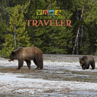 National Parks Traveler Podcast | The Future of Grizzly Bears