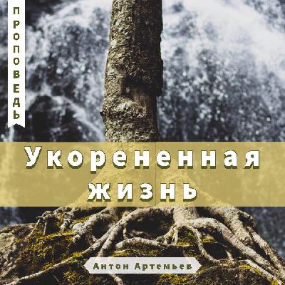 Укоренённая жизнь — Антон Артемье