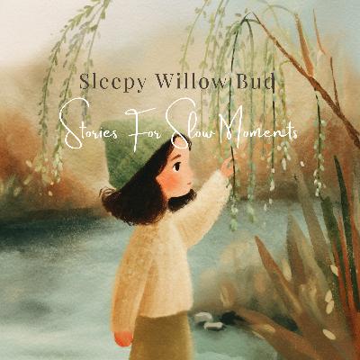 Sleepy Willow Bud | A Soft Spring Story for Bedtime Sleepy Willow Bud | A Soft Spring Story for Bedtime