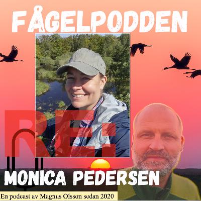 Re: Monica Pedersen