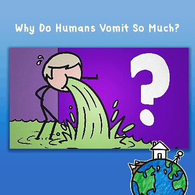 Why Do Humans Vomit So Much? 🤮