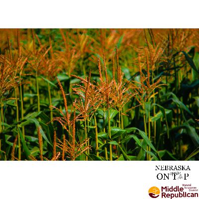 Chemigation Refresh: Growing Season Is Near
