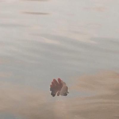 海が呼んだ話