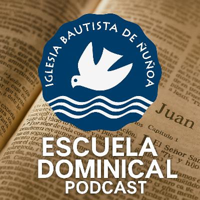 28 de Diciembre 2025 28 de Diciembre 2025