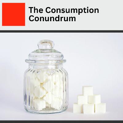 16. The Consumption Conundrum