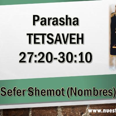 AUDIO DE LA PARASHA 20 TETSAVEH