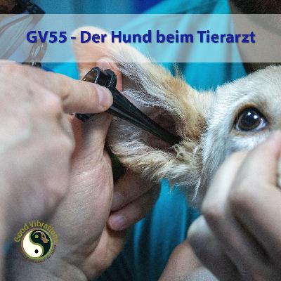 GV 55_Hund beim Tierarzt GV 55_Hund beim Tierarzt