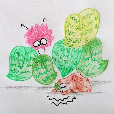 Dorothee und der Plan der Elfen und Kobolde