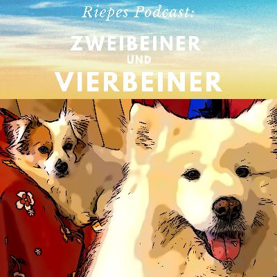 Strafe in der Hundeerziehung?