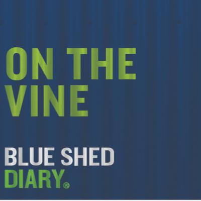 On the Vine: Growing the perfect Kiwi with Matt Glenn, Kiwifruit Breeding Centre CEO