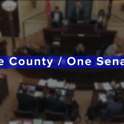 Episode 60: One state senator per county in Utah