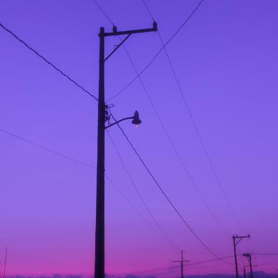 Elon Musk, la Sustentabilidad y las Rage-room