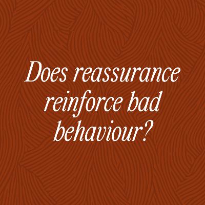 Does reassurance reinforce bad behaviour?