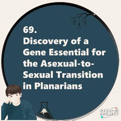 69. Discovery of a Gene Essential for the Asexual-to-Sexual Transition in Planarians