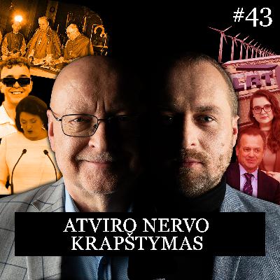VALATKA | PANCEROVAS #43: Auditų interpretacijos kaip valstybės naikinimo įrankis