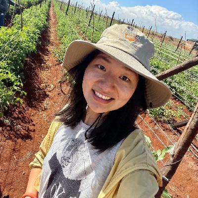 非洲农业不发达,到底都是缺点啥?和李奕聊聊她在肯尼亚的一千亩地 非洲农业不发达,到底都是缺点啥?和李奕聊聊她在肯尼亚的一千亩地