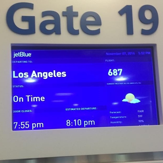 América 2020: Caucus Democrata do Iowa