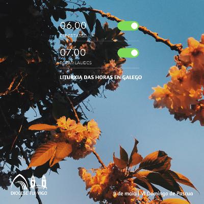 Tempo de Pascua | VI Domingo