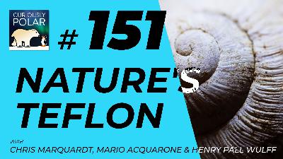 Polar Newsreel: Nature's Teflon π Polar Newsreel: Nature's Teflon π