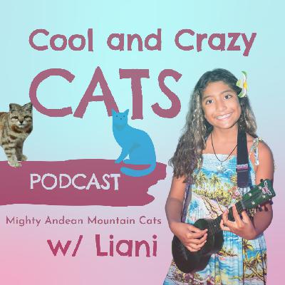 Mighty Andean Mountain Cats